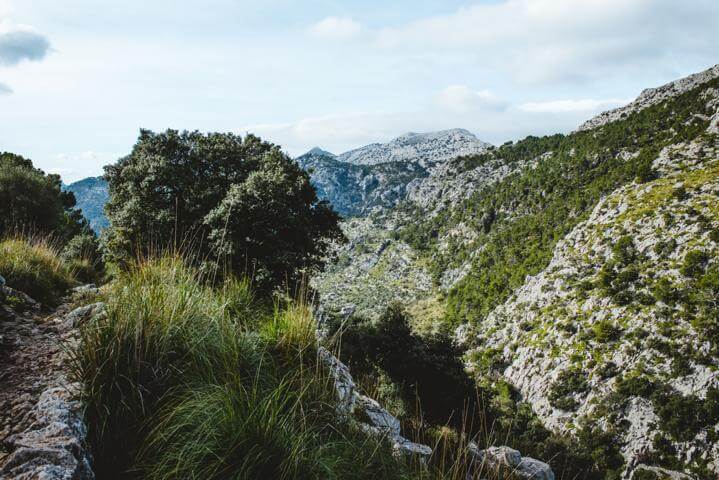 Weg zum Refugi Tossals Verds Mallorca thealkamalsontheroad