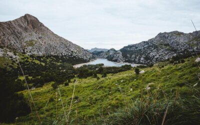 Wandern auf Mallorca: Tossals Verds & Puig de Massanella