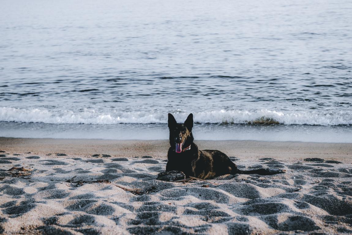Ryok liegt am Strand am Meer