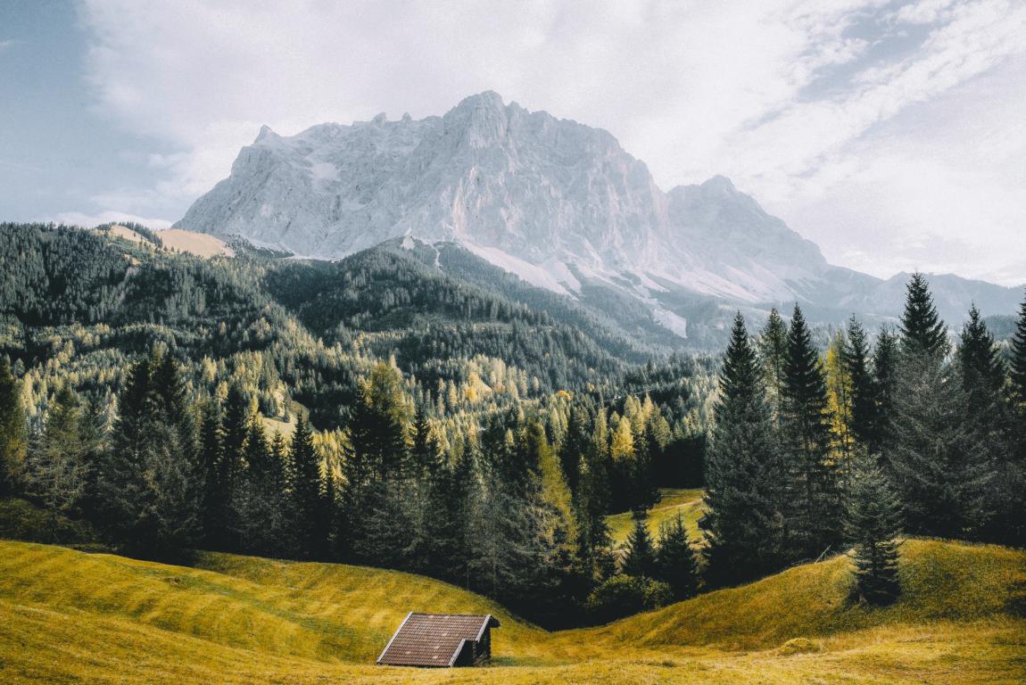 alpen-thealkamalsontheroad (23) Wanderung zur Coburger Hütte mit blick auf die Berge und Wiesen
