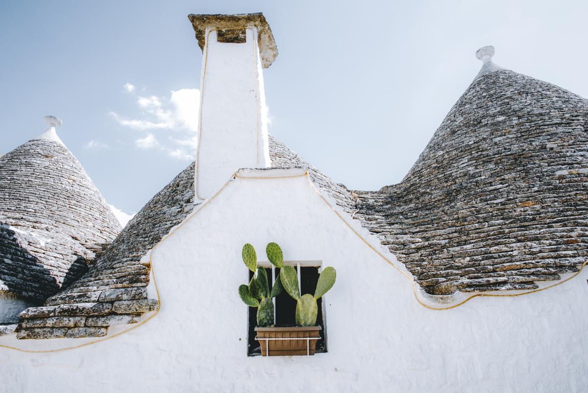 apulien-italien-thealkamalsontheroad (7) Kakteen wachsen an einem Trullifenster