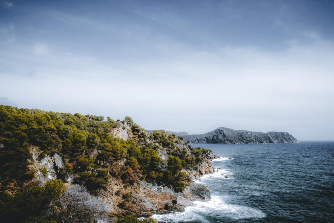 blühende Landschaft im Frühling