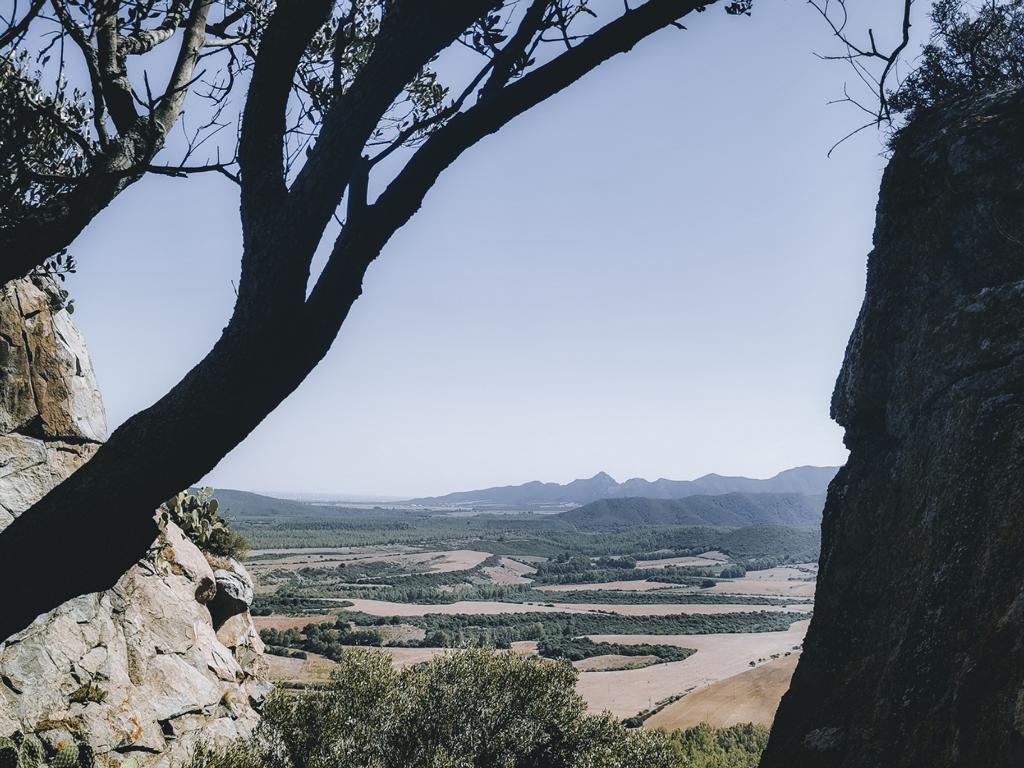 Ausblick von der Burgruine