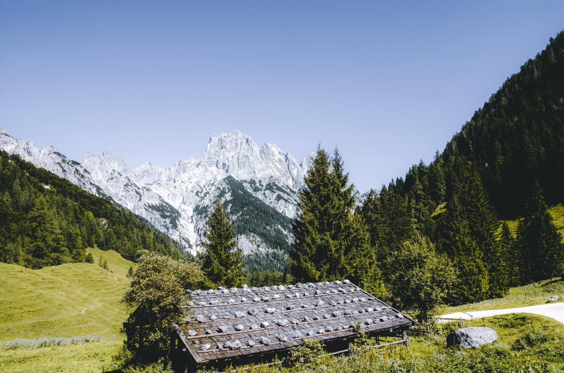 Alm mit Bäumen und Bergen