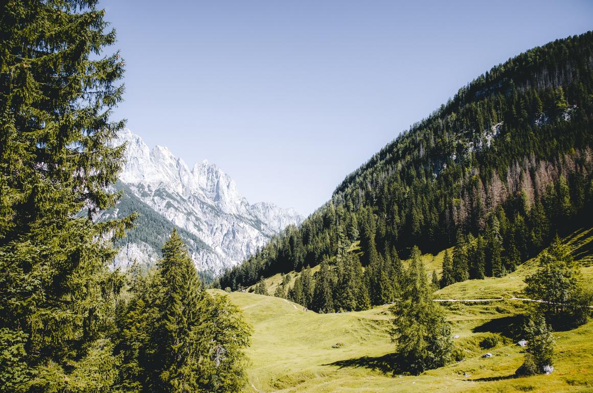 Wanderweg durch Wiesen und Wälder