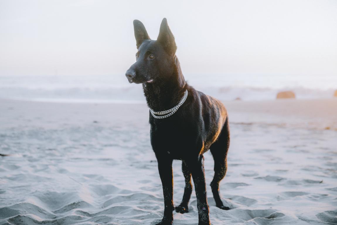 Ryok steht am Strand