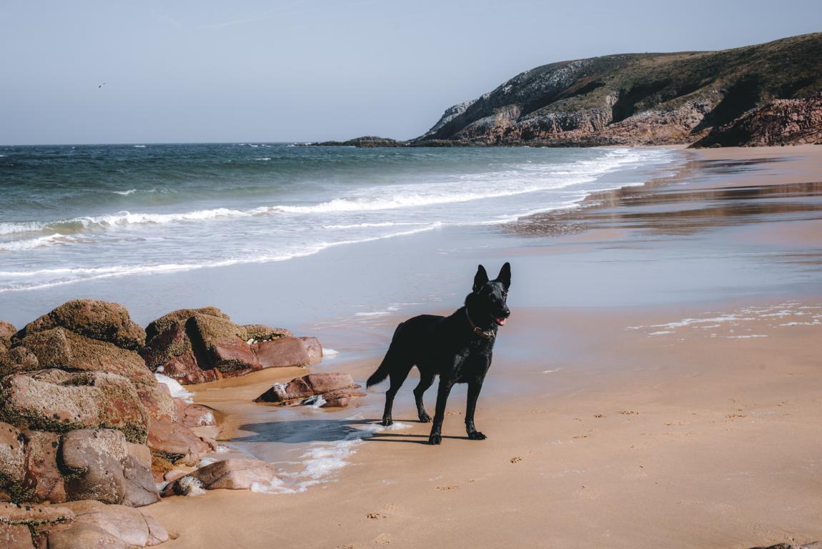 Ryok am Strand von Erquy