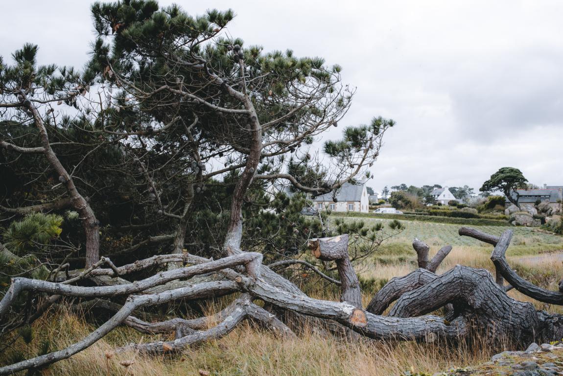 wandern in der Bretagne